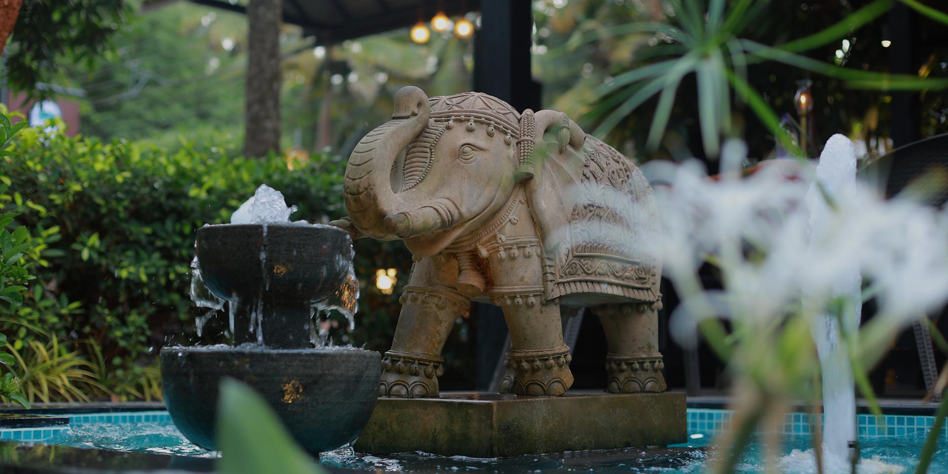 ayurvedic treatments in kerala