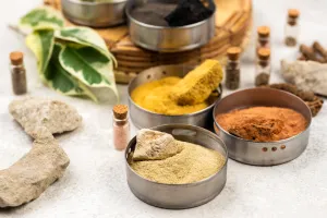 Ayurveda vs. Allopathy