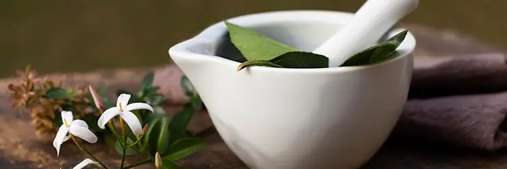 ayurvedic ingredients