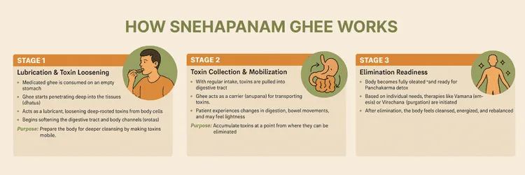 How Snehapana Ghee Works
